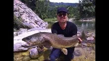 Video thumb for Marmorata fever