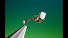 Video thumb for Suspender Midge