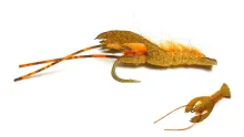 Video thumb for CrawBody Crawfish