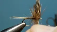 Video thumb for Wonder wings