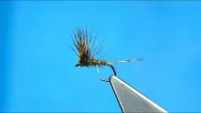 Video thumb for Rough Olive Comparadun