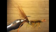 Video thumb for The Mc Shrimp