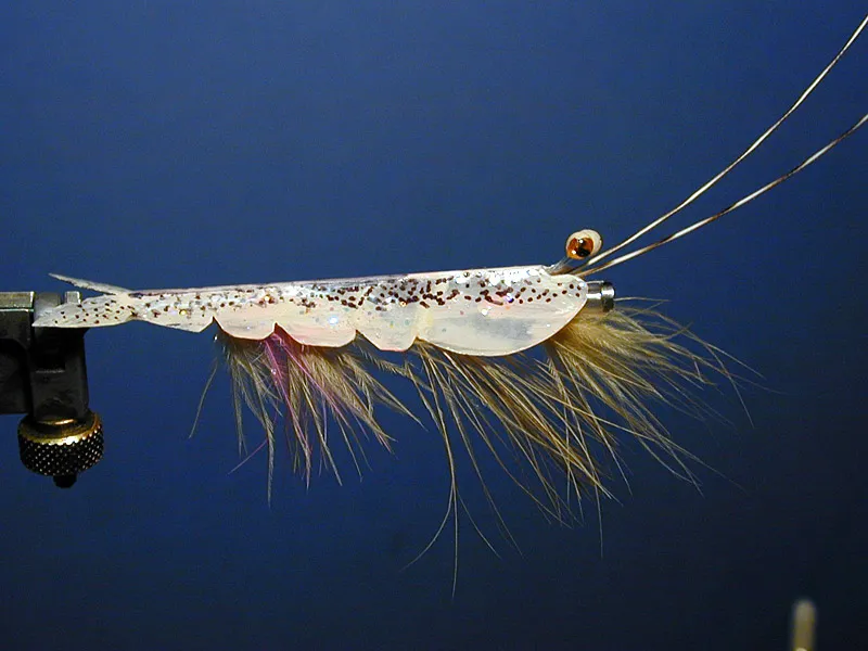 Tom Berry's shrimp - This is a process I've been working with lately. The body form is packageing plastic which is sanded on both sides. All the coloring is on the inside in reverse order and both sides covered with 2-ton epoxy. Similar flies are used in Alaska and Norway by a friend of mine. When actually used for fishing I eliminate the tail.